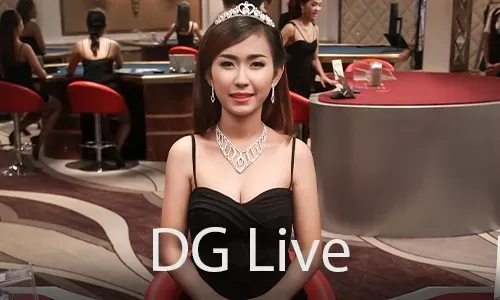 Guide to Online Casino